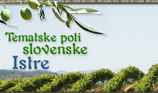 Istrske poti