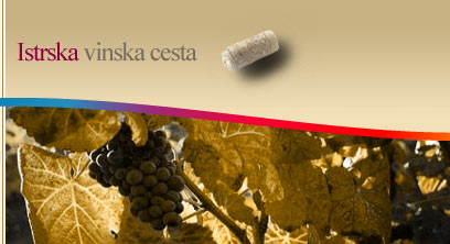 Vinska cesta